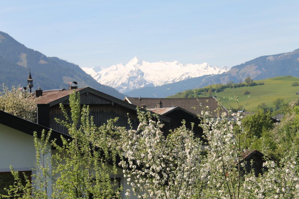 Haus Hartl Hotel Saalfelden Exterior photo